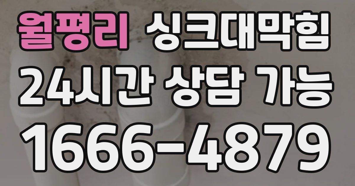 월평리 싱크대 뚫기