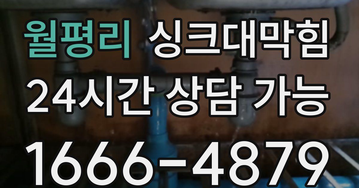 월평리 싱크대 뚫기