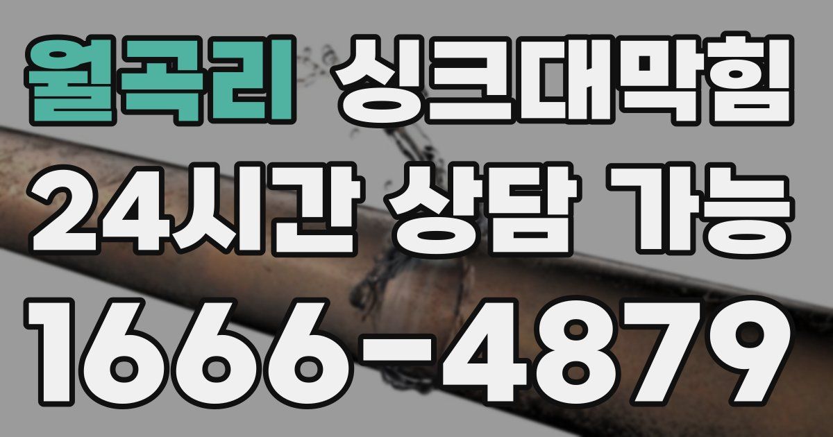 월곡리 싱크대 뚫기