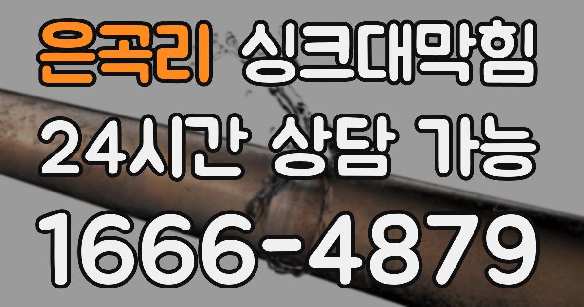 은곡리 싱크대 뚫기