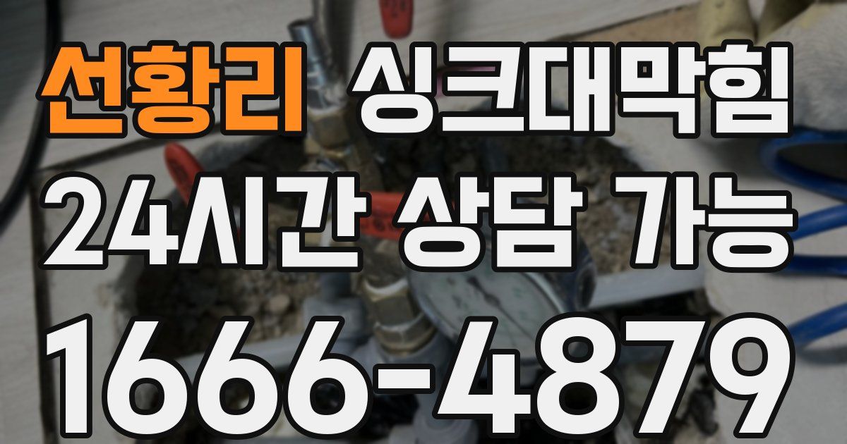 선황리 싱크대 뚫기