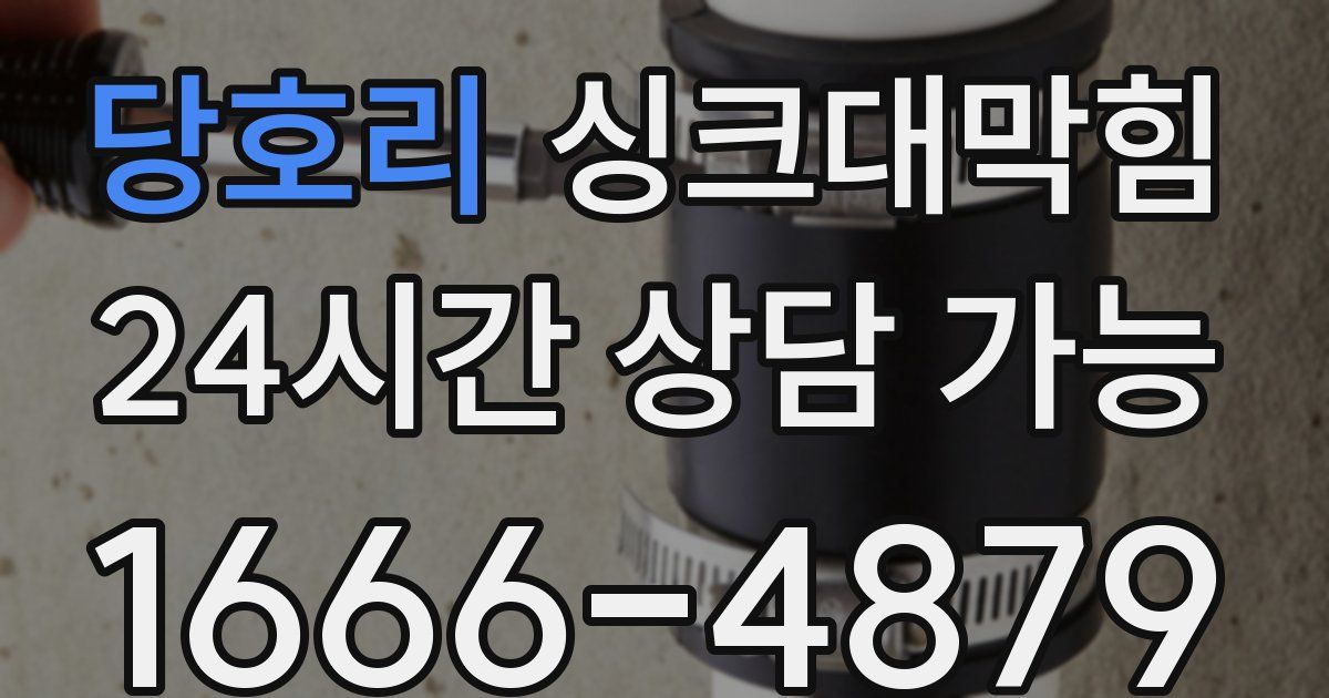 당호리 싱크대 뚫기
