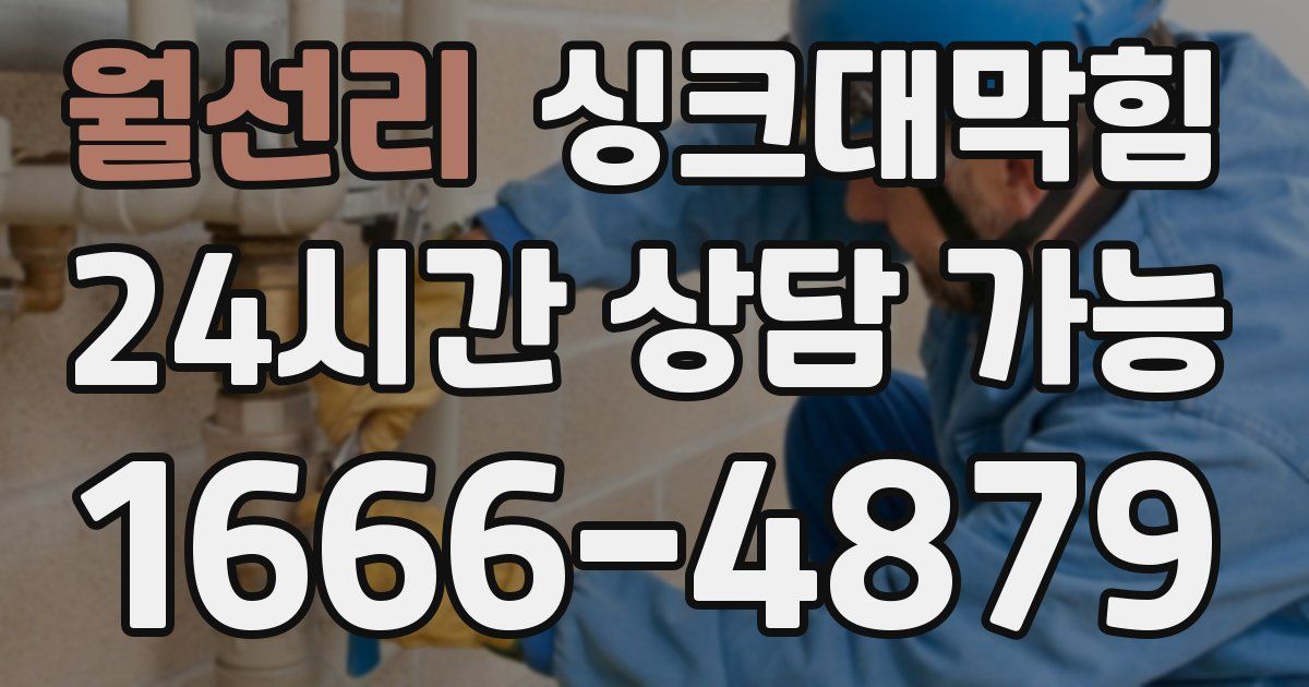 월선리 싱크대 뚫기