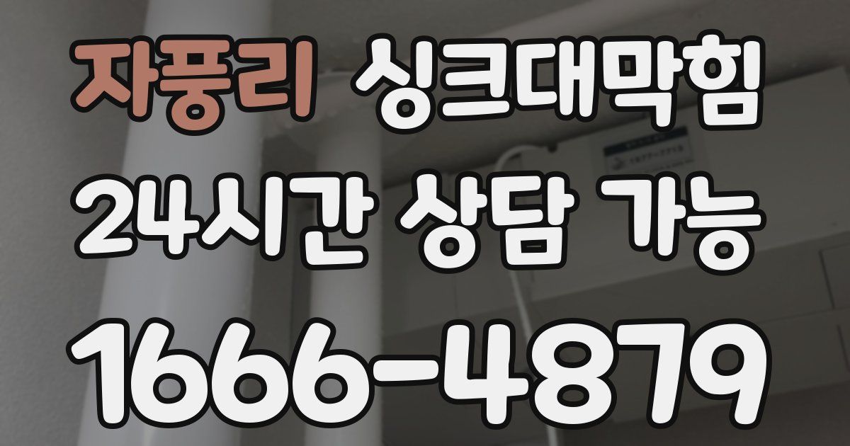 자풍리 싱크대 뚫기