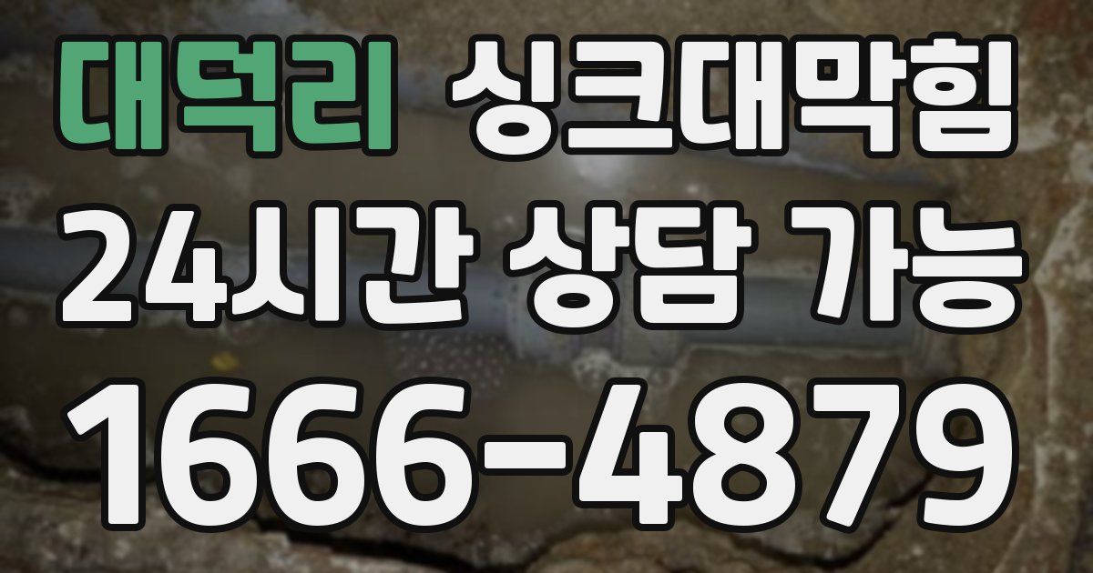 대덕리 싱크대 뚫기