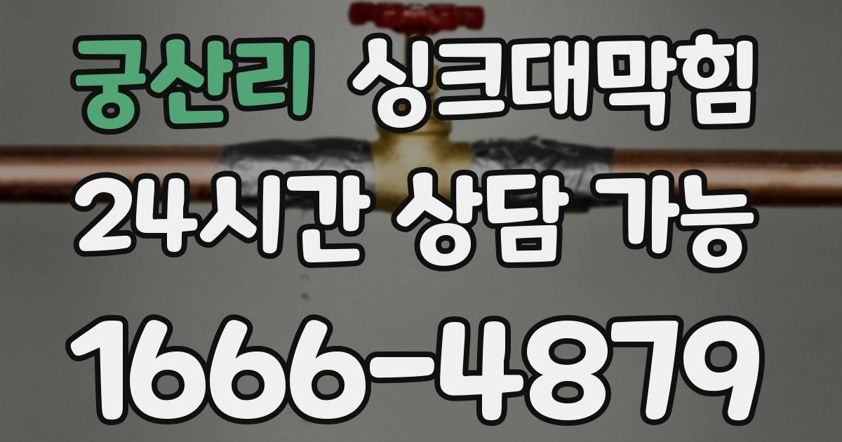 궁산리 싱크대 뚫기