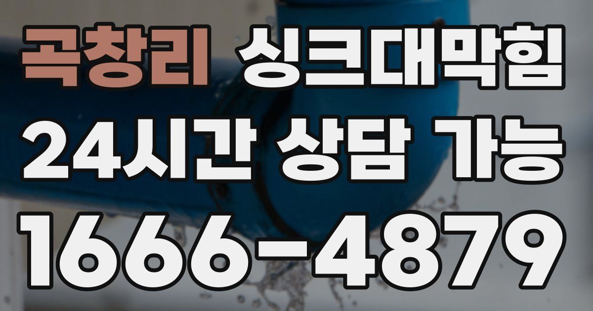 곡창리 싱크대 뚫기