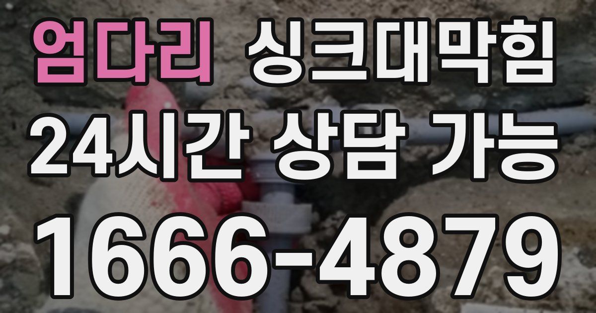 엄다리 싱크대 뚫기