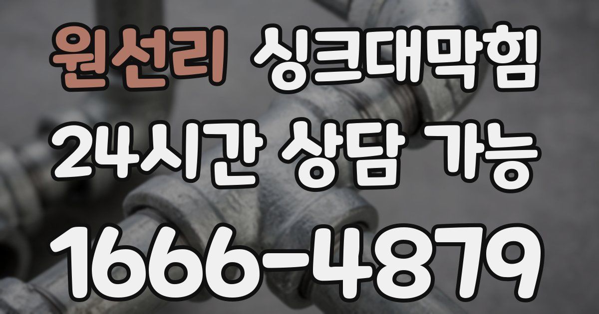 원선리 싱크대 뚫기