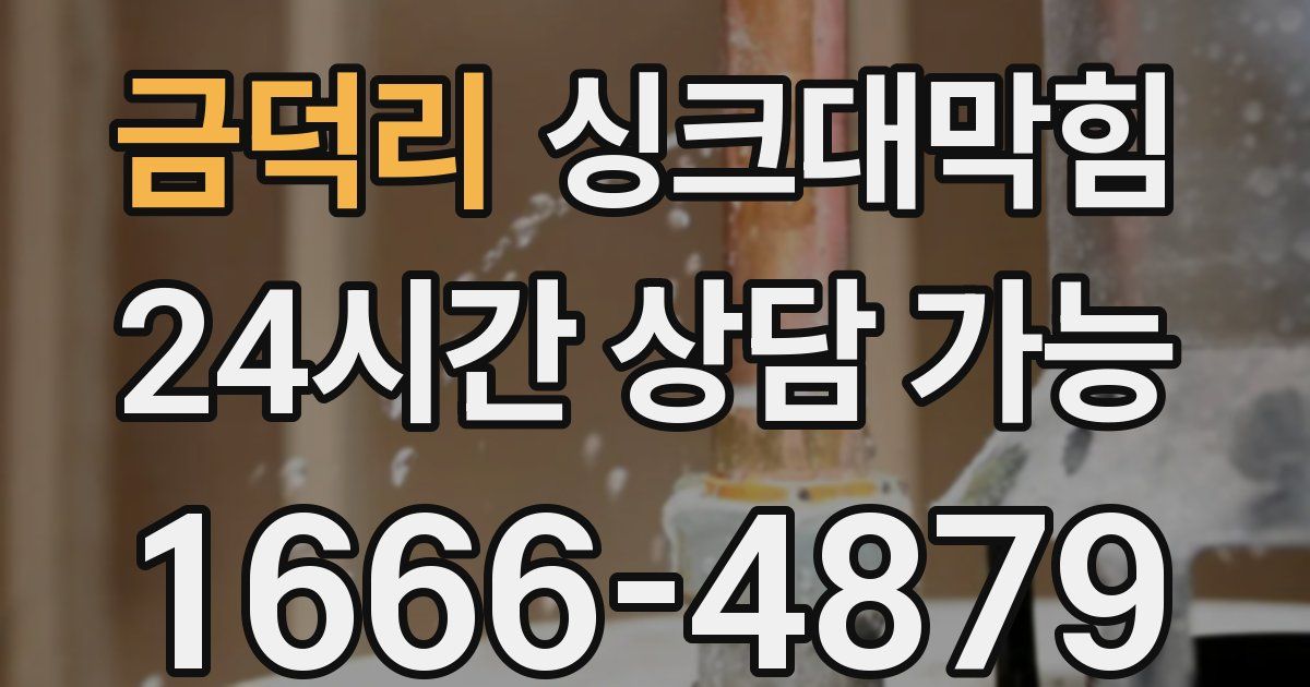 금덕리 싱크대 뚫기