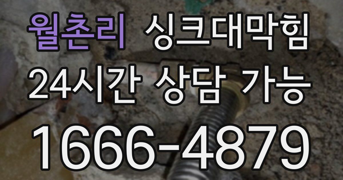 월촌리 싱크대 뚫기