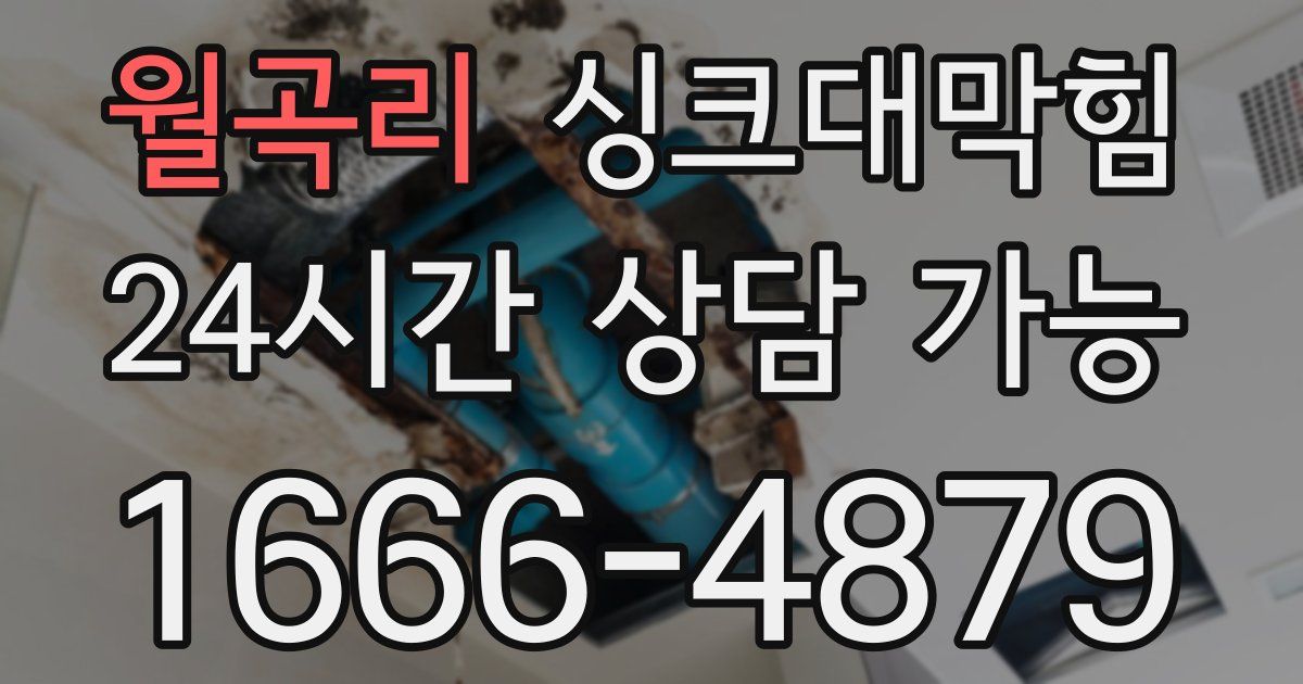 월곡리 싱크대 뚫기