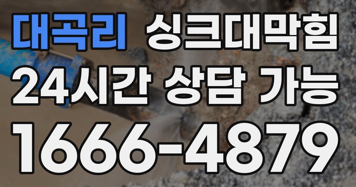 대곡리 싱크대 뚫기