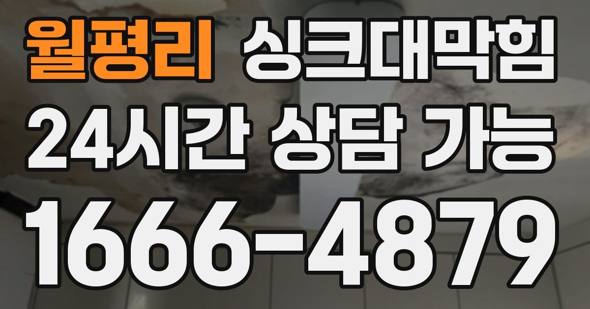 월평리 싱크대 뚫기