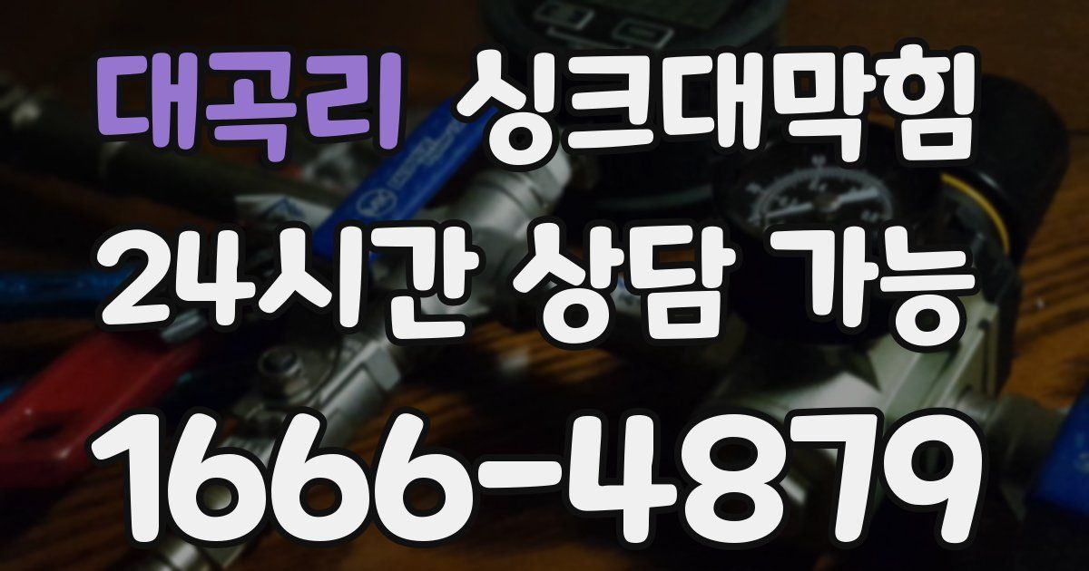 대곡리 싱크대 뚫기