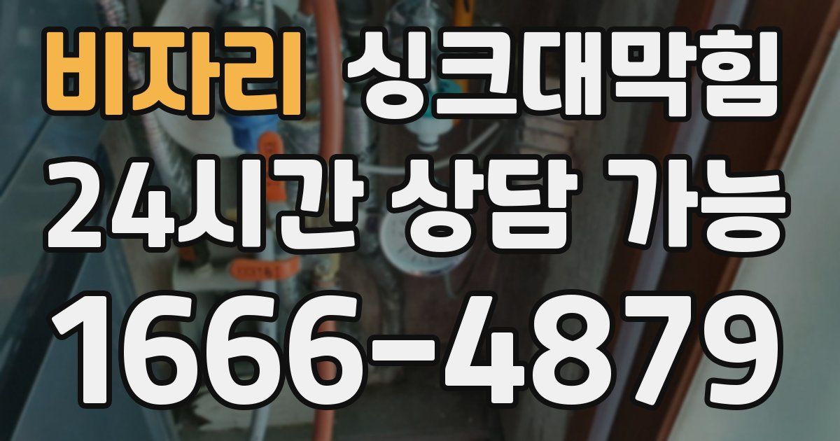 비자리 싱크대 뚫기