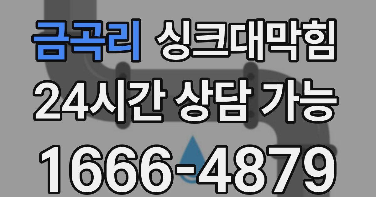 금곡리 싱크대 뚫기