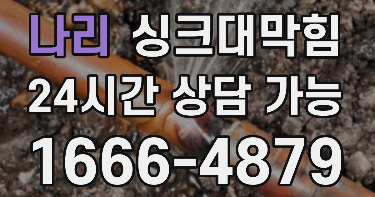 나리 싱크대 뚫기