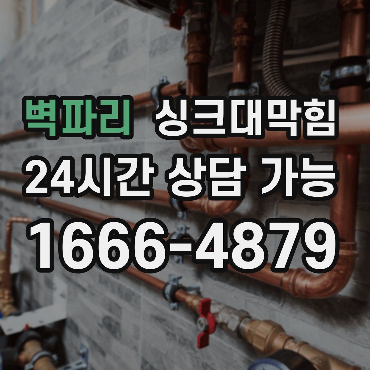 벽파리 싱크대막힘