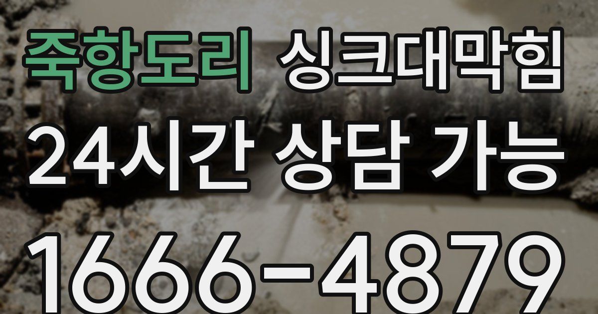 죽항도리 싱크대 뚫기