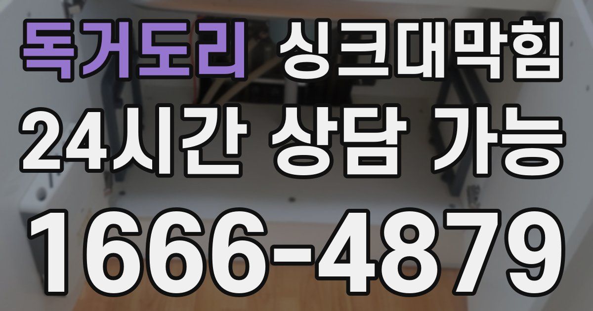 독거도리 싱크대 뚫기