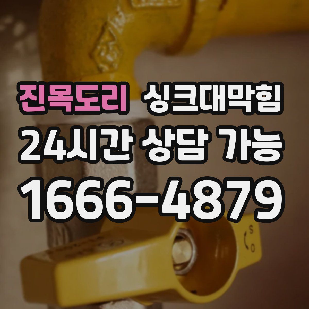 진목도리 싱크대막힘