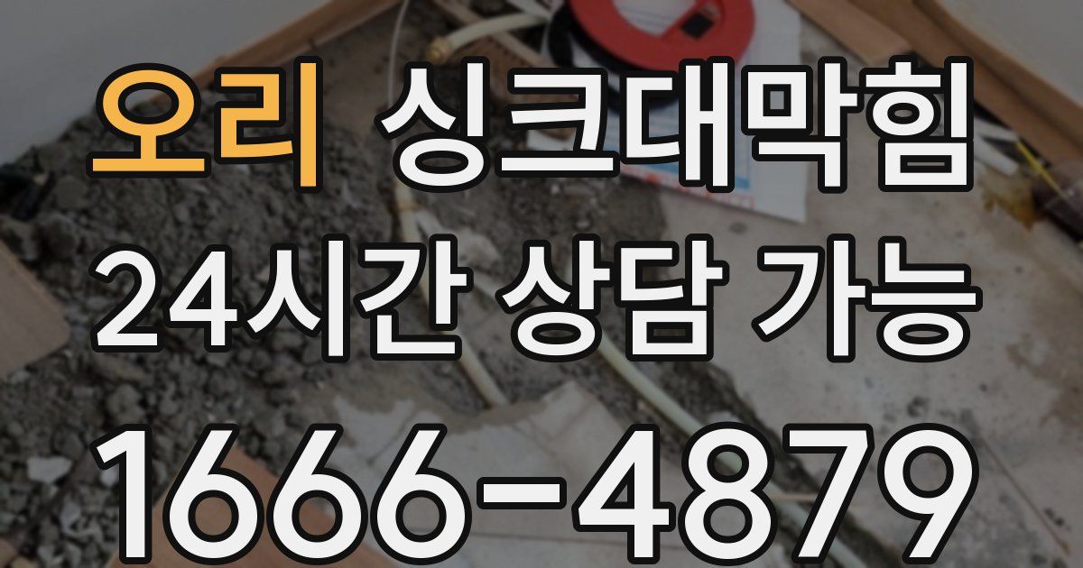 오리 싱크대 뚫기