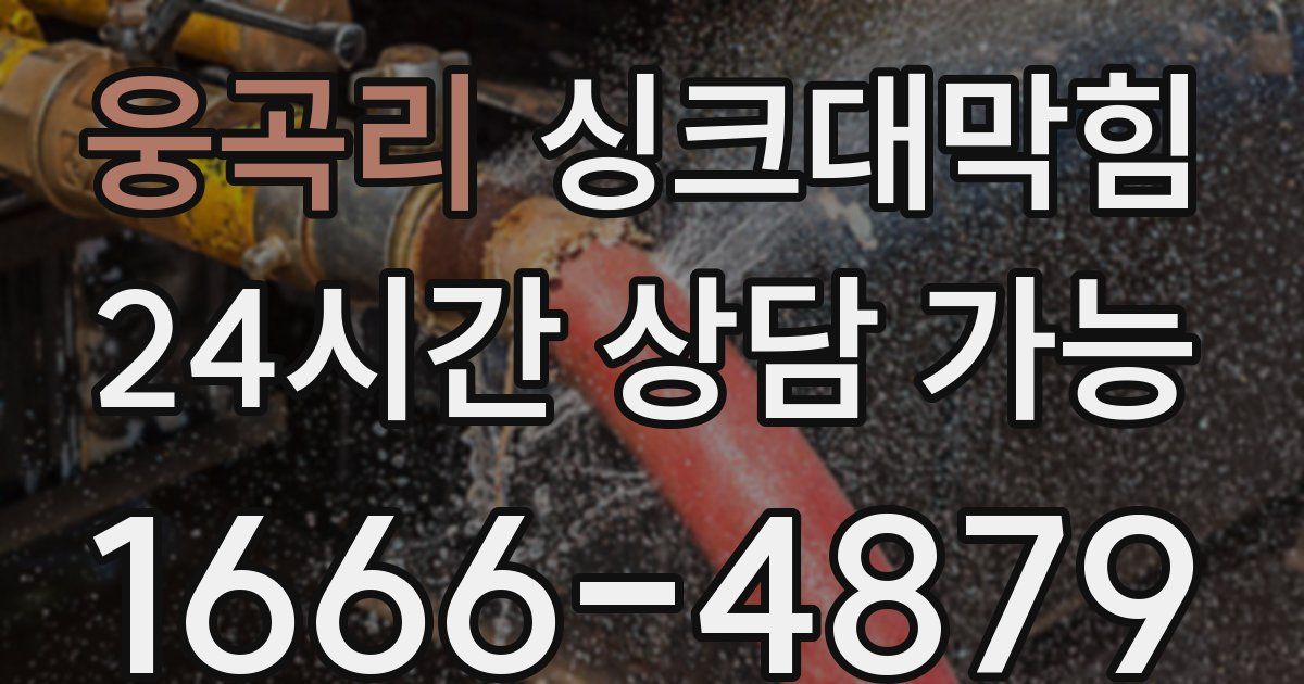 웅곡리 싱크대 뚫기