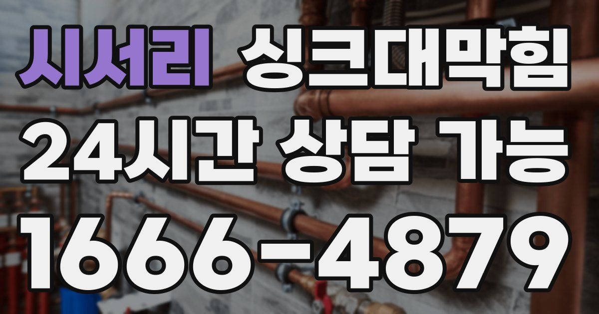 시서리 싱크대 뚫기