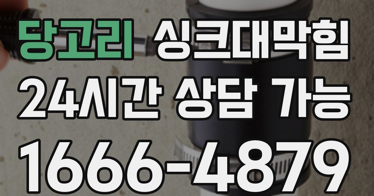 당고리 싱크대 뚫기