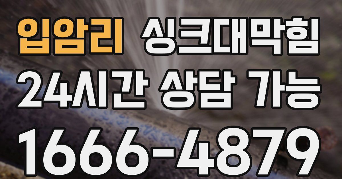 입암리 싱크대 뚫기