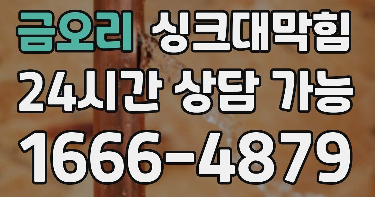 금오리 싱크대 뚫기