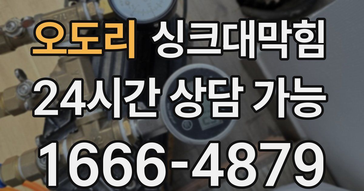 오도리 싱크대 뚫기