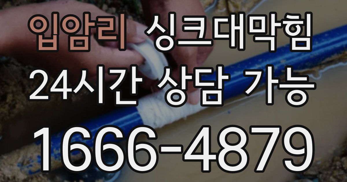 입암리 싱크대 뚫기