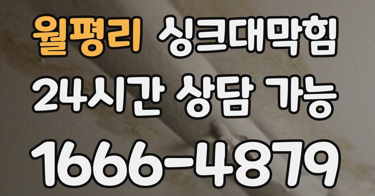 월평리 싱크대 뚫기