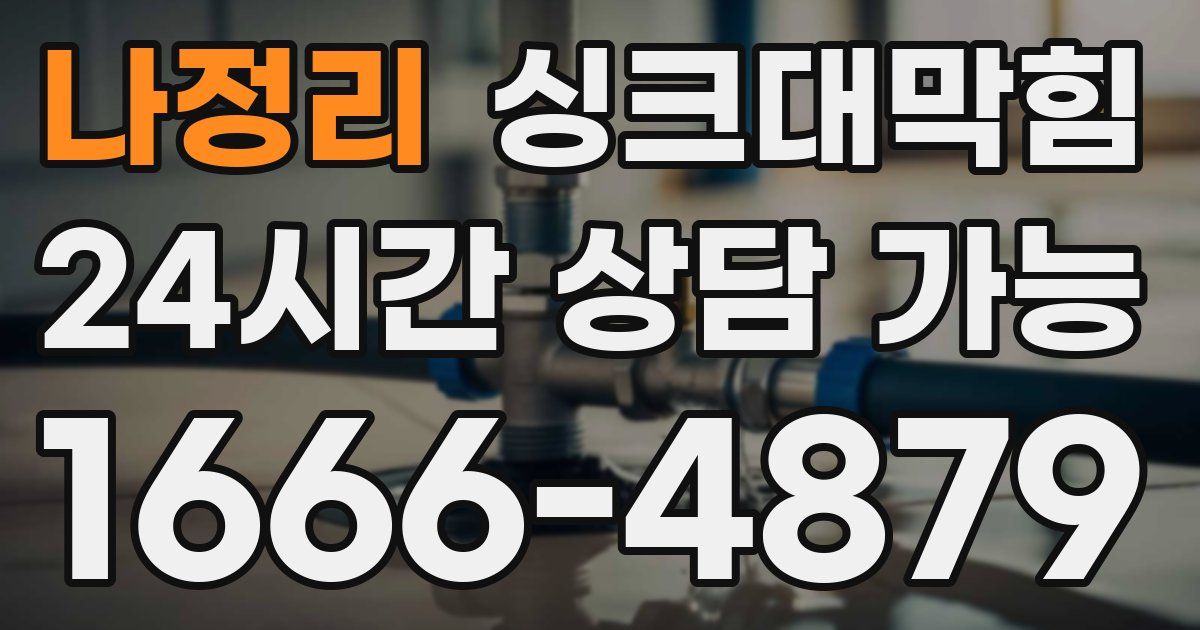 나정리 싱크대 뚫기