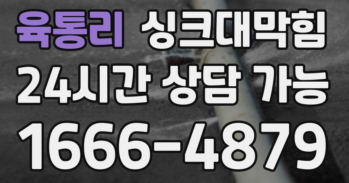 육통리 싱크대 뚫기
