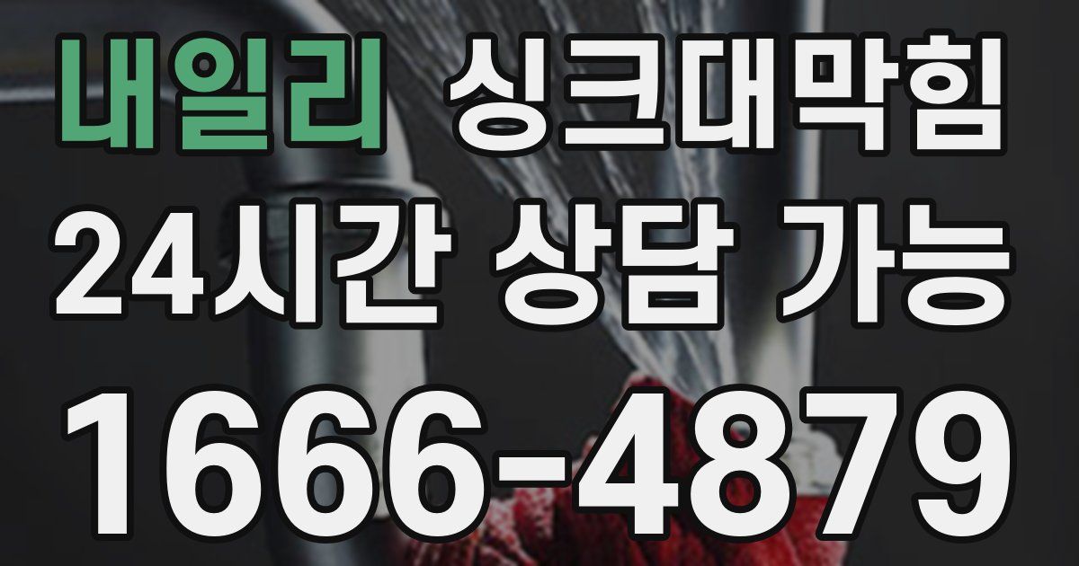 내일리 싱크대 뚫기