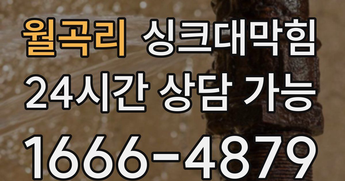 월곡리 싱크대 뚫기