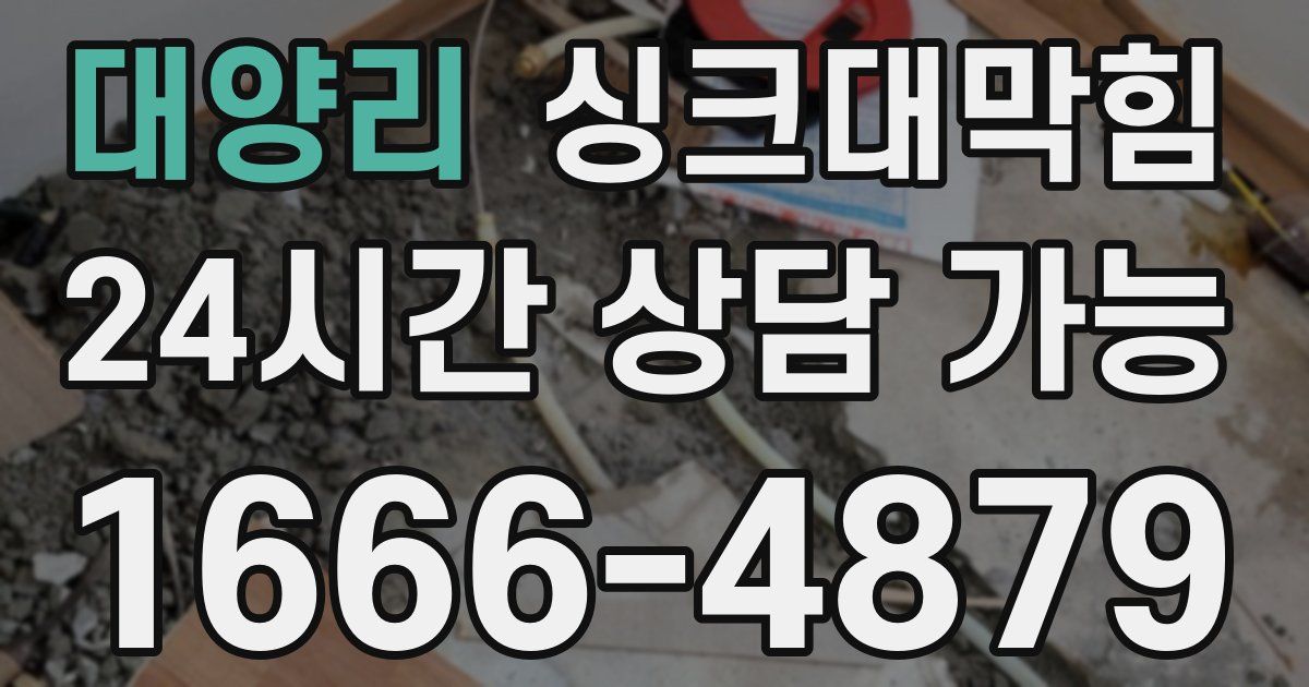 대양리 싱크대 뚫기