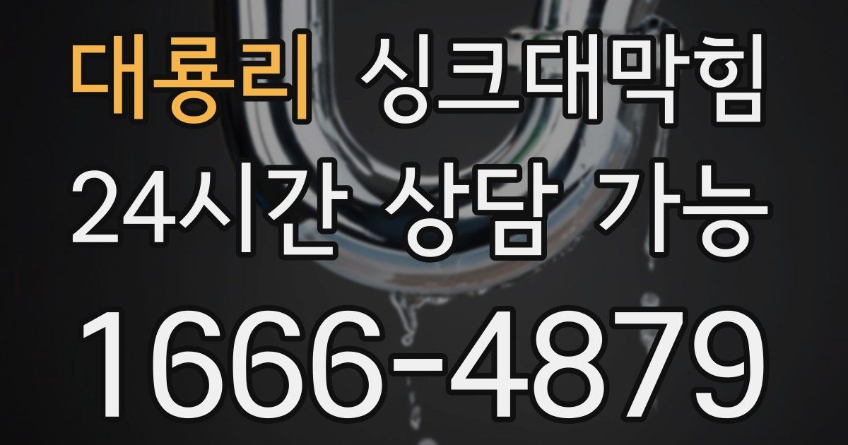대룡리 싱크대 뚫기