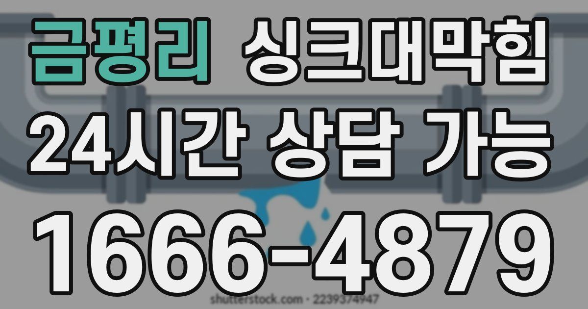 금평리 싱크대 뚫기