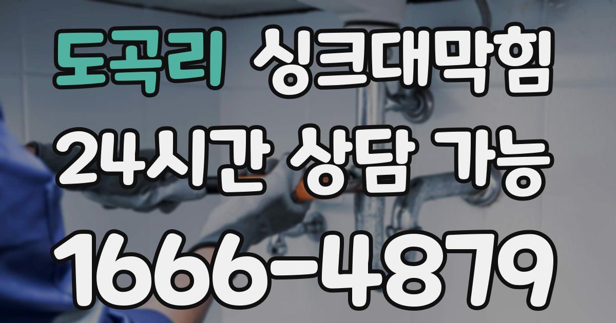 도곡리 싱크대 뚫기
