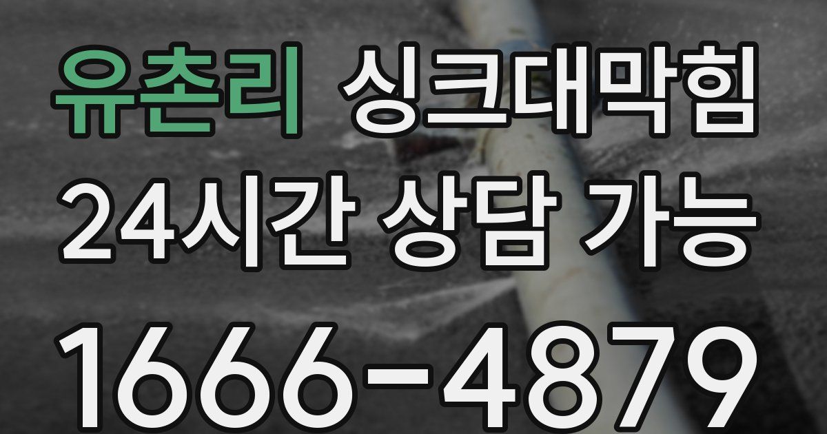 유촌리 싱크대 뚫기