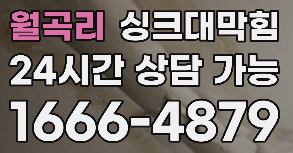 월곡리 싱크대 뚫기