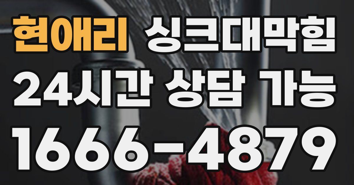 현애리 싱크대 뚫기