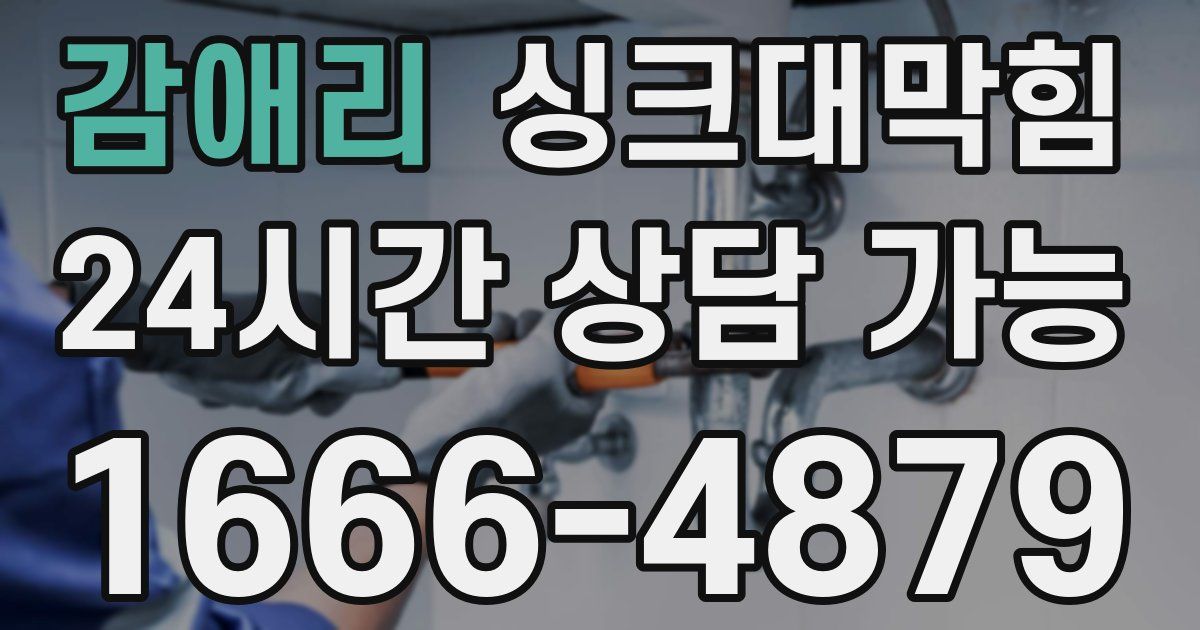 감애리 싱크대 뚫기