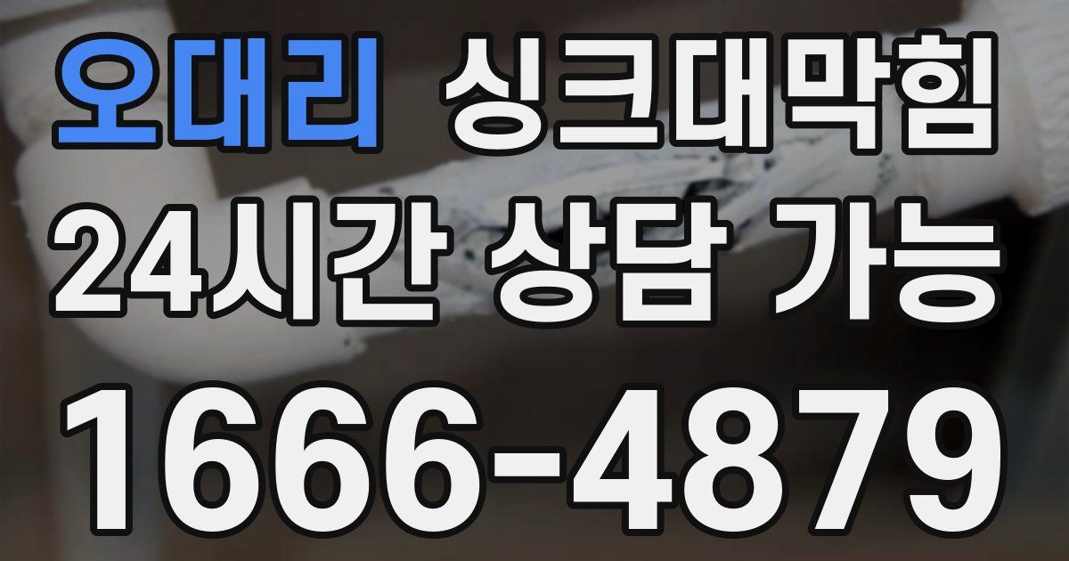 오대리 싱크대 뚫기