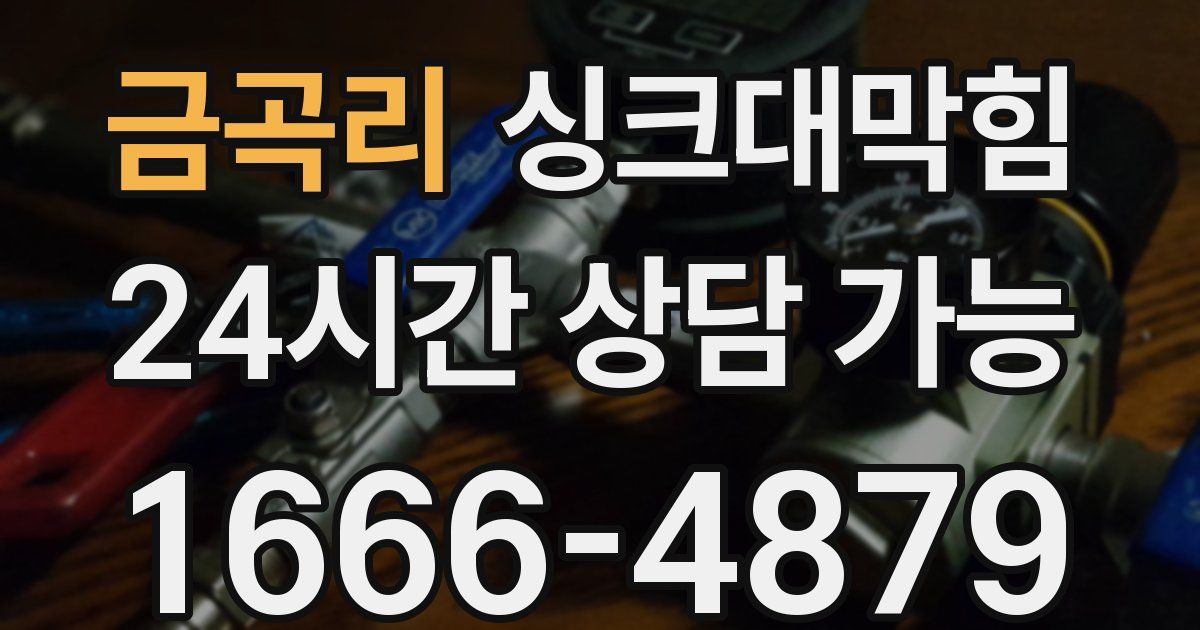 금곡리 싱크대 뚫기