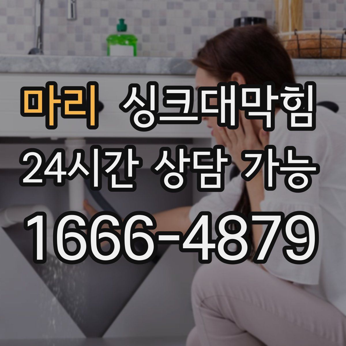 마리 싱크대막힘